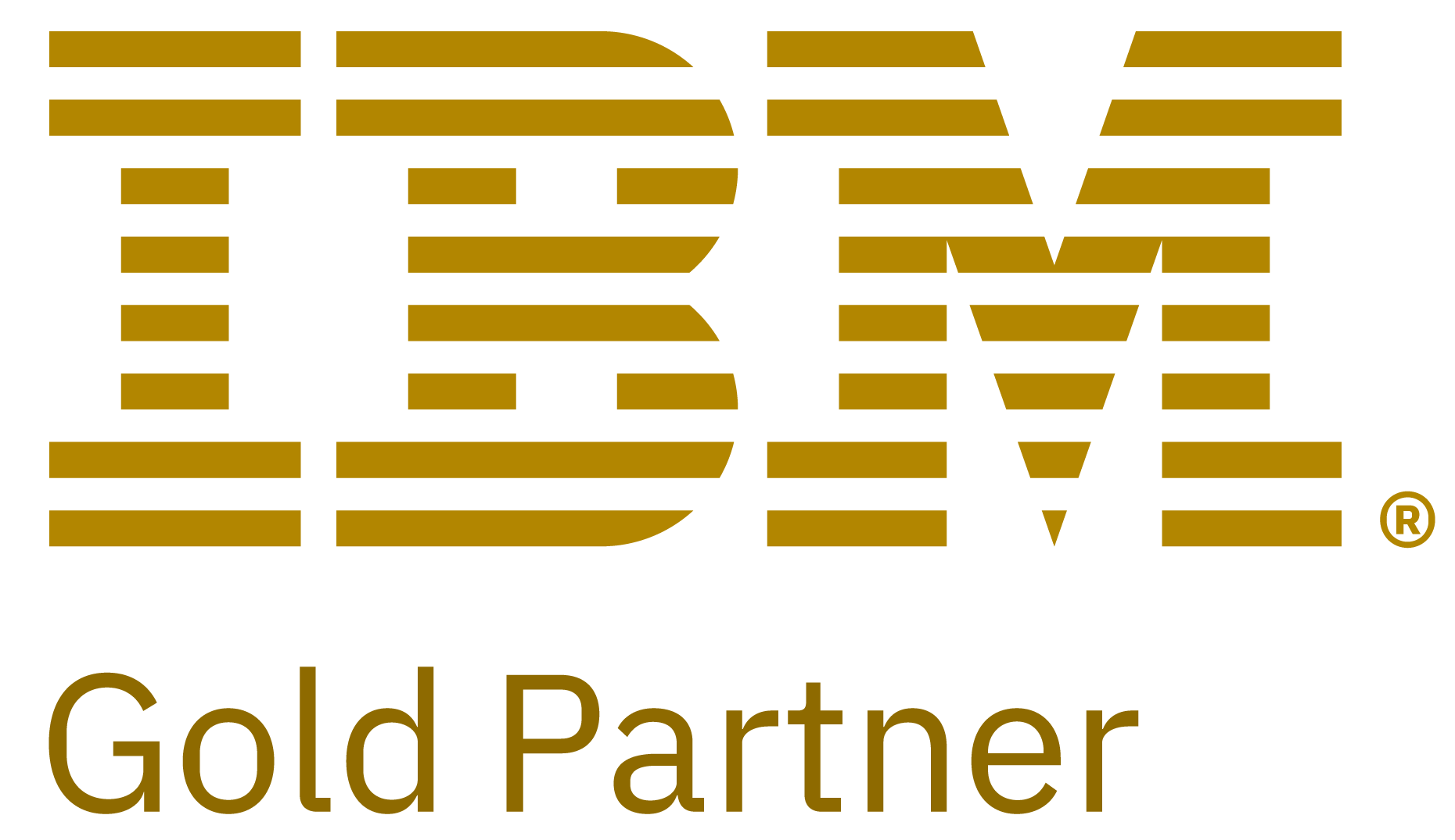 IBM Gold Partner